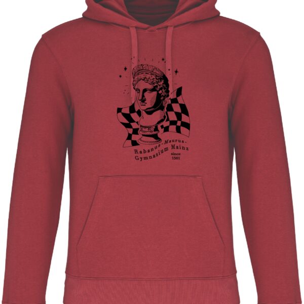 Rama Hoodie NEW terracotta red
